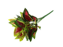 ����� "������ ��������"����� "������ ��������" �����; 25 ��; �������, ��������; � ����� 600 ��. ���.: 1653804 65.00���.