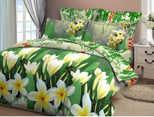 ��� ���� ���� ���� "������ �����" 3D ���. 3959 1 175,00 ���.