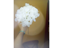 2017-03-28 11-00-01.JPG