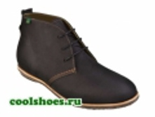 4050�-���-n641 ari-----.jpg