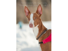 32794464290 7330449fdb o.jpg