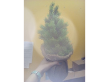 2017-03-28 10-54-22.JPG