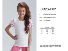 �������� IBB23v002 Actual.jpg
