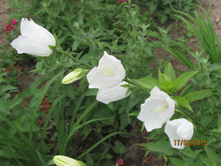 �������������� �����.JPG