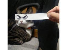 ������.jpg