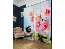 ��������� "���������� ������ ������" 2440,00 ���. �����: ����������� �������: 290x260 �� ��������: ������� �����: 04610 �������������: ������