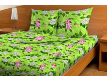 ��� ���� ���� ���� "�������� �� �������" ���. 1838 1 175,00 ���.