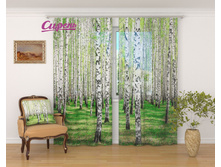 �������� "������ ����" 2 640,00 ���. �����: ����������� �������: 290x260 �� ��������: ����� �����: 01345