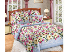 ��� ������� 1,5 ��. ���� "�������� 2" 1 313,00 �