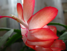 IMG 5213.JPG