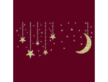 126718 Polumesyats-so-zvezdami-200�95-13