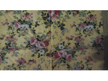 No169   � 5 �   ��� ��������