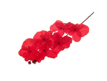 ����� ������������� "�������� ������� �����"����� ������������� "�������� ������� �����" �����; 70 ��; �������, ��������; � ����� 540 ��. ���.: 867912 44.55���.