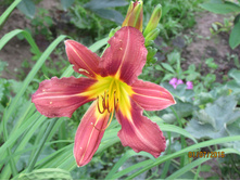 ���� ���.JPG