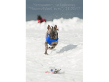 32361315063 cb64d7c346 o.jpg