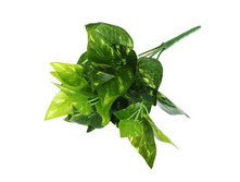 ����� "����"����� "����" �����; 25 ��; �������, ��������; � ����� 600 ��. ���.: 1653805 65.00���.