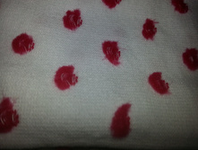 20170331 125142[1].jpg