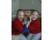 IMG 20170211 140515.jpg