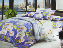 ��������� ���� 1,5 �������� (150�210) No49 620,00 ���.