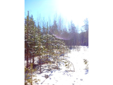 IMG 20170326 094847.jpg