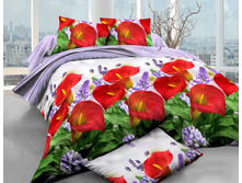 ��������� ���� 1,5 �������� (150�210) No14 620,00 ���.