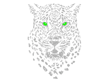 126751R serii-leopard-197�280-28�