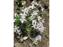 ���������� ������.JPG