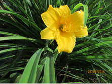 ����� ����.JPG