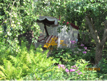 ��������� ��������.JPG