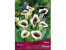 ����� �������.jpg