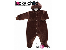 "���������� � ��������� (�����) ������ 80% ������ 20% ���������" 17-3����