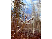 IMG 20170325 105036.jpg