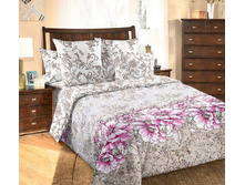 ��� ������� 2.0 �� � ������������� ���� "������� 2" 1 617,00 ���.