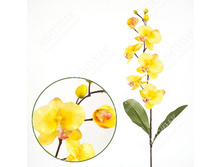 ��000507 ������� ���������� "������" 73 �� 1 �� (֣����)  ������ ���� 107 ����� ���� 64,2