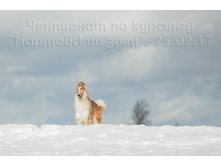 33048965371 2f62139207 o.jpg