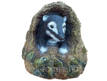 ������ ������ �� ����� �-13��.jpg