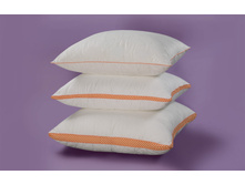 ������� Giraffe (�����) �ԣ�����