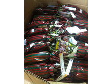 0-02-05-3020277c34b76a4d66e18012e647aa680d37002d5583cecb02ab977408899cba full.jpg