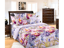 ��� ������� 1,5 ��. ���� "���� 1" 1 313,00 ���