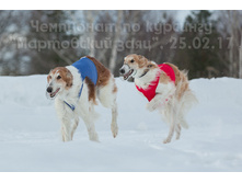 32794413980 7460cc8863 o.jpg