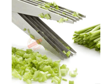 �������� �������