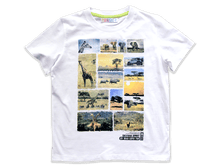 �������� � �������� ������� - 450 ���