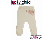 �������� ������ ������: 100% ������ 6-4