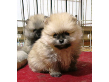 ����� � 005.JPG