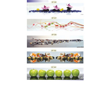 �������� 6.jpg