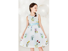 LQ007_820 ���.