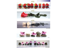 �������� 5.jpg