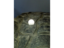 IMG 20170331 090712.jpg