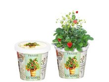 ��������  80 ���..jpg