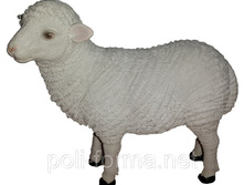 ������ ���� �-13��,L-13��.jpg